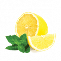 Табак для кальяна Fumari Lemon Mint (Лимон с мятой) 100 гр.