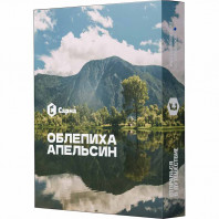 Табак для кальяна Сарма - Облепиха Апельсин 25г