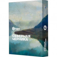 Табак для кальяна Сарма - Северная Черника 25г