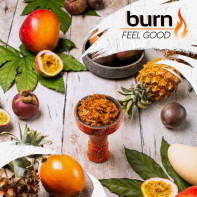 Табак для кальяна Burn Feel Good (Манго маракуйя банан) 20г