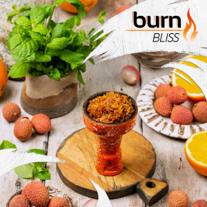 Табак для кальяна Burn Bliss (Личи мята) 20г