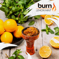 Табак для кальяна Burn Lemon Mint (Лимон мята) 100г