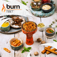 Табак для кальяна Burn Tibet (Специи) 100г