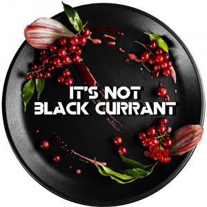 Табак для кальяна Black Burn - Red Currant (Красная смородина) 100г