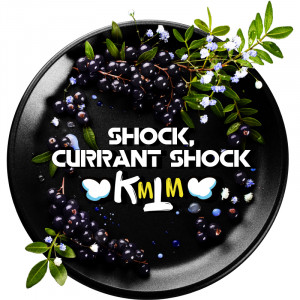 Табак для кальяна Black Burn - Currant Shock (Кислая черная смородина) 200г