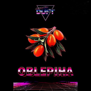 Табак для кальяна Duft - Oblepiha (Облепиха) 80г
