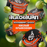 Табак для кальяна Black Burn - Кислый крыжовник (Gooseberry shock) 100г