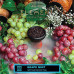 Табак для кальяна Element Вода - Grape Mint (Мятный виноград) 200г