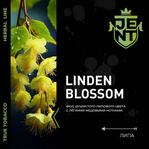 Табак для кальяна JENT - Linden Blossom (Липа) 25г