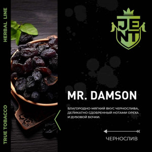 Табак для кальяна JENT - Mr. Damson (Чернослив) 30г