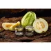 Табак для кальяна WTO Caribbean blend Guava (Гуава) 20г