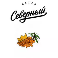 Табак для кальяна Северный - Воровская облепиха 25г