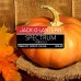 Табак для кальяна Spectrum Classic line - Jack-o-lantern (Тыква) 100г