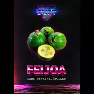 Табак для кальяна Duft Feijoa (Фейхоа) 100г