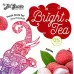 Смесь для кальяна Bright Tea  - Арбузная корка 50г