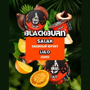 Табак Black Burn 25г - Салак (Salak) (Экзотические фрукты Яблоко Банан Ананас)