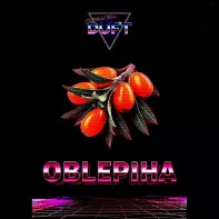 Табак для кальяна Duft - Oblepiha (Облепиха) 20г