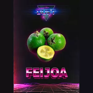 Табак для кальяна Duft - Feijoa (Фейхоа) 25г