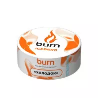 Табак для кальяна Burn - Iceberg (Холодок) 25г